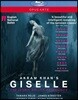 English National Ballet 아크람 칸: 발레 `지젤` (Akram Khan's Giselle)