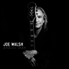 Joe Walsh - Analog Man (LP)