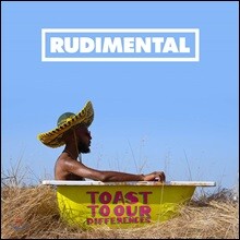 Rudimental (루디멘탈) - 3집 Toast To Our Differences [2LP]