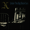 X - Under The Big Black Sun (LP)