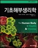 기초해부생리학