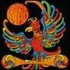 Rare Bird (레어 버드) - Rare Bird [LP]