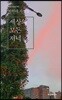 세상의 모든 저녁