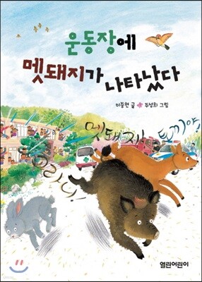 운동장에 멧돼지가 나타났다