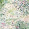계피 - 동요집 ‘빛과 바람의 유영’