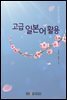 고급일본어활용