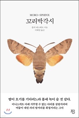 꼬리박각시