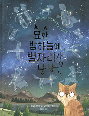 묘한 밤하늘에 별자리가 냥냥