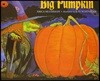 Big Pumpkin
