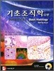 기초조직학