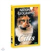 [내셔널지오그래픽] 고양이의 비밀 (The secret life of cats DVD)