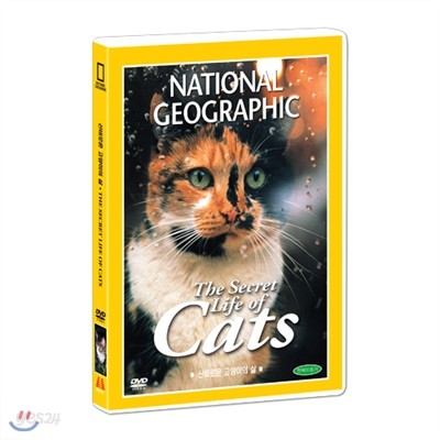 [내셔널지오그래픽] 고양이의 비밀 (The secret life of cats DVD)
