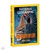 [내셔널지오그래픽] 생존게임 : 연체동물 (THE SURVIVAL GAME : MOLLUSCS DVD)