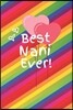 Best Nani Ever: Cute Colorful Soft Cover Blank Lined Notebook Planner Composition Book (6 X 9 110 Pages) (Best Nani and Grandma Gift I