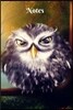 Notes: Colorful Night Owl Digital Art 6 X 9 Blank Lined Writing Notebook Composition Journal, 110 Pages - Great Gift Idea