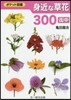 身近な草花300 街中