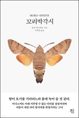 꼬리박각시