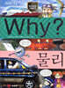 Why? 와이 물리