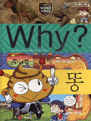 Why? 와이 똥