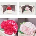 홀마크 카네이션 선물박스 2종