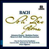 바흐: 요한 수난곡, 마태 수난곡, 크리스마스 오라토리오, B단조 미사 (Bach: Johannes-Passion, Matthaus-Passion, Weihnachtsoratorium, Messe h-moll) (9CD Boxset) - Peter Dijkstra