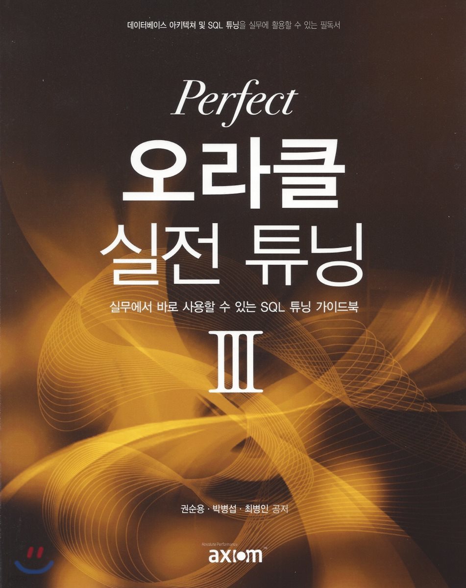 Perfect 오라클 실전 튜닝 (3)