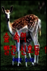 (장편동화) 숲속의 빨간 신호등