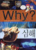 Why? 와이 심해