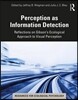 Perception as Information Detection