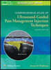 Comprehensive Atlas of Ultrasound-Guided Pain Management Injection Techniques
