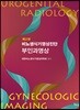 비뇨생식기영상진단 부인과영상