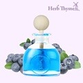 NEW 허브타임 디퓨저 60ml 차량용 방향제 블루베리