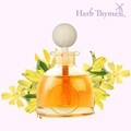NEW 허브타임 디퓨저 60ml 차량용 방향제 일랑일랑