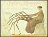 Sophie's Masterpiece: A Spider's Tale
