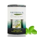 ACS 민트 Mint 에센셜오일 Mentha Arvensis 10ml