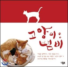 고양이 냄비