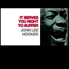 John Lee Hooker - It Serves You Right To Suffer (Vinyl LP)