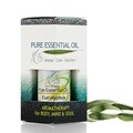 ACS 유칼립투스 Eucalyptus 에센셜오일 Eucalyptus Globulus 10ml
