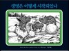 생명은 어떻게 시작 되었나