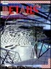 DETAILS 29