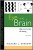 Eye and Brain