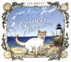 Comet's Nine Lives