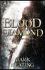 The Blood Diamond: A Pirate Devlin Novel