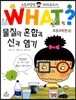 물질의 혼합과 산과 염기