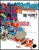 왜 이래요, 왜 이래?