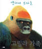 고릴라 가족