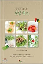 방에서 키우는 싱싱 채소