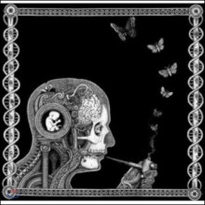 Soen - Cognitive