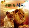 초원의 왕 사자