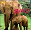 코가 긴 코끼리